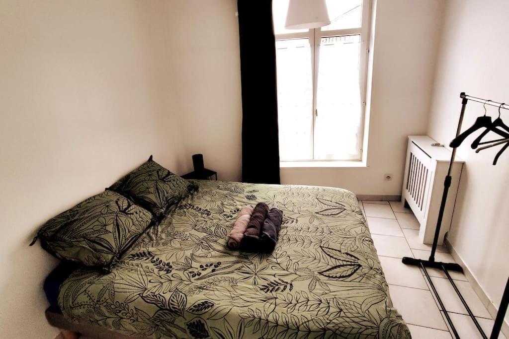 Logement Entier Proche Tribunaux Douai Ngoại thất bức ảnh